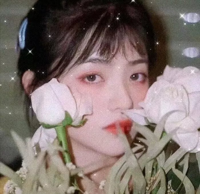 曾经的老伴