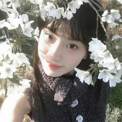 蝶变计划